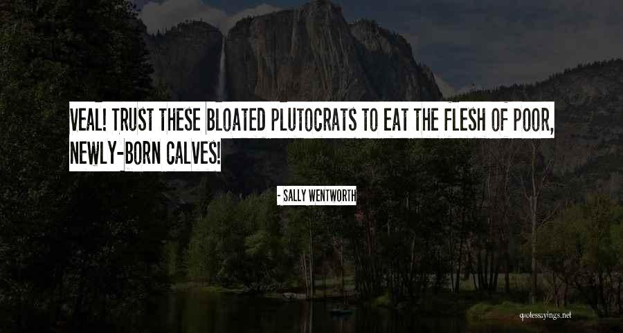 Newly Born Quotes By Sally Wentworth