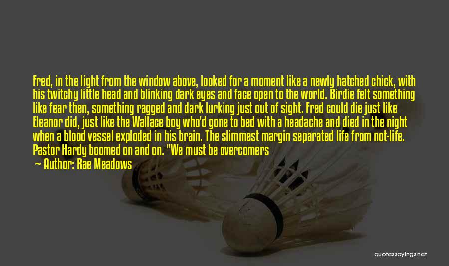 Newly Quotes By Rae Meadows