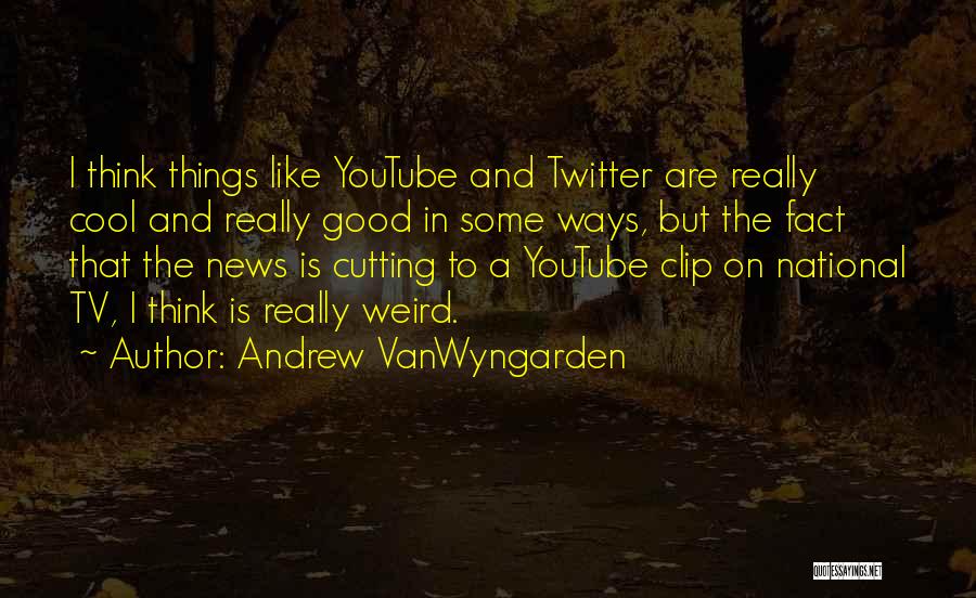 News On Tv Quotes By Andrew VanWyngarden