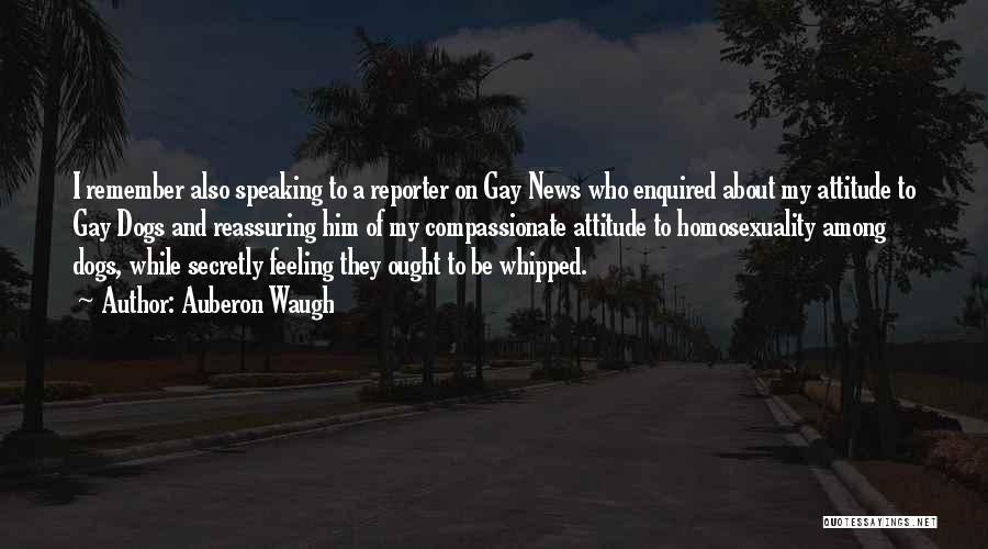 News Reporter Quotes By Auberon Waugh