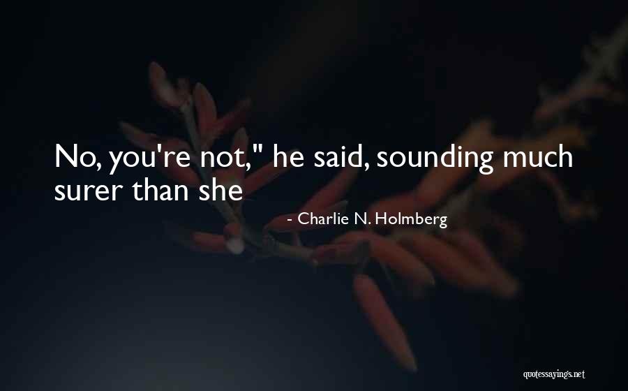 Newsboards Quotes By Charlie N. Holmberg
