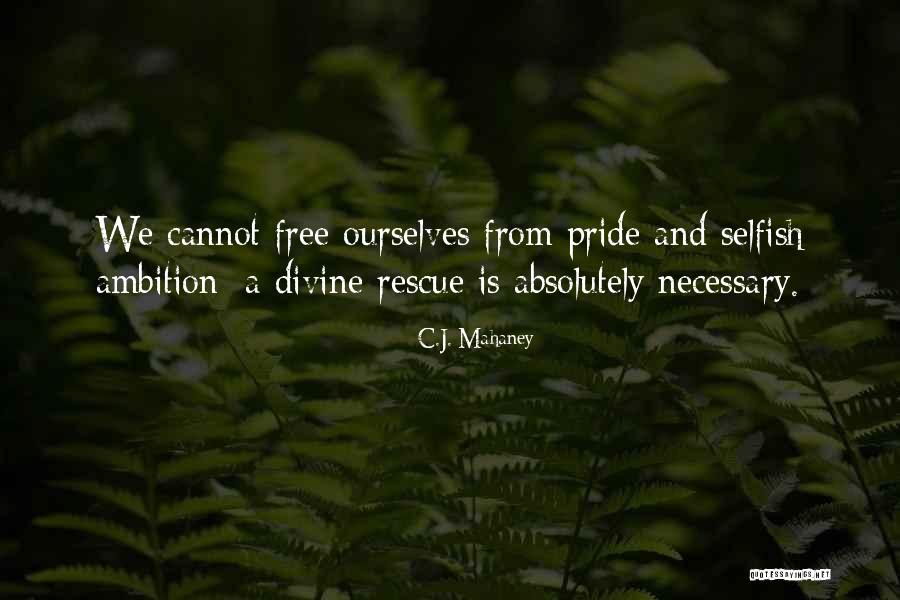 Newsgroup Reader Quotes By C.J. Mahaney Newsgroup Reader Quotes By C.J. Mahaney