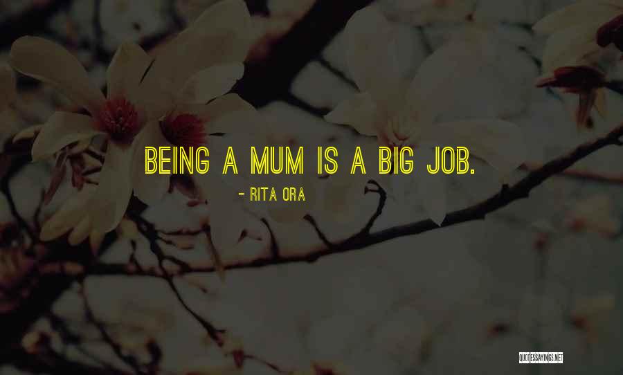 Newsham Insurance Quotes By Rita Ora Newsham Insurance Quotes By Rita Ora