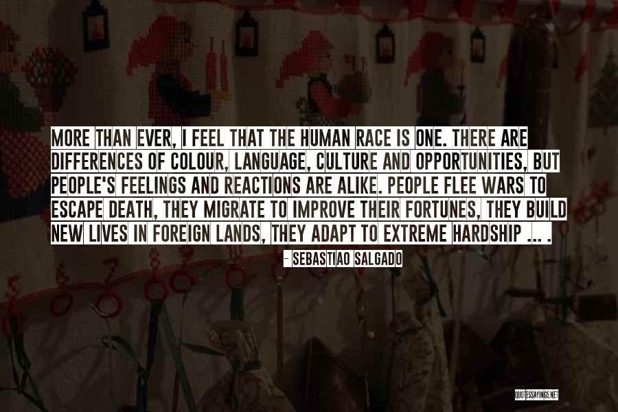 Newsnight Interview Quotes By Sebastiao Salgado Newsnight Interview Quotes By Sebastiao Salgado