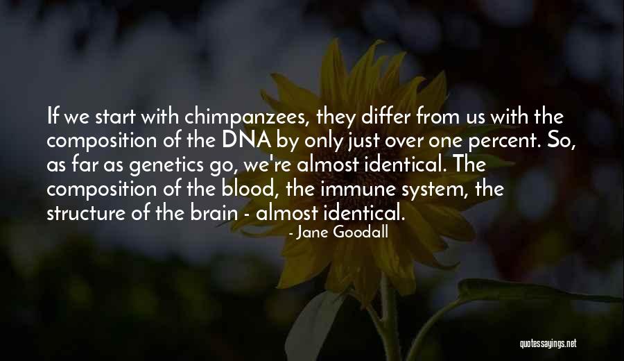 Newsreels Showed Quotes By Jane Goodall Newsreels Showed Quotes By Jane Goodall