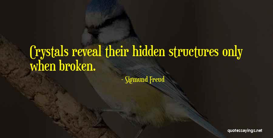 Newstone Construction Quotes By Sigmund Freud Newstone Construction Quotes By Sigmund Freud