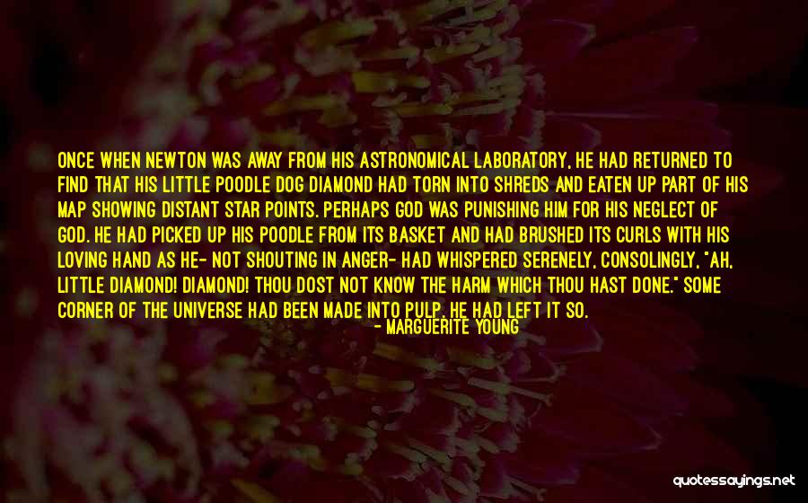 Newton God Quotes By Marguerite Young Newton God Quotes By Marguerite Young