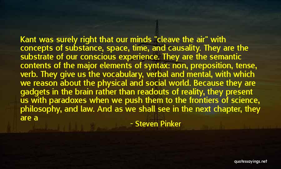 Next Chapter Quotes By Steven Pinker