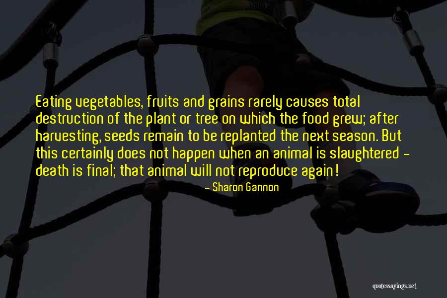 Next Season Quotes By Sharon Gannon Next Season Quotes By Sharon Gannon