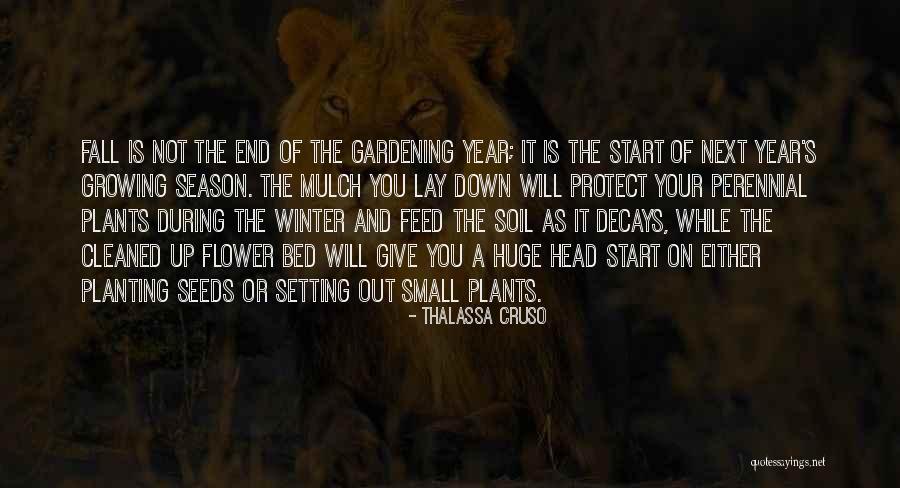 Next Season Quotes By Thalassa Cruso Next Season Quotes By Thalassa Cruso