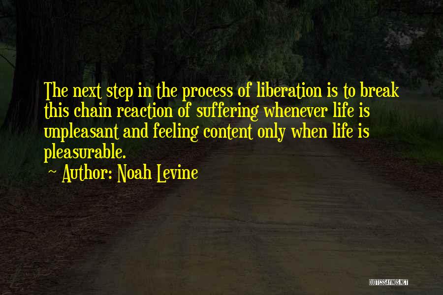 Next Step In Life Quotes By Noah Levine