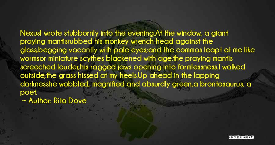 Nexus 4 Quotes By Rita Dove
