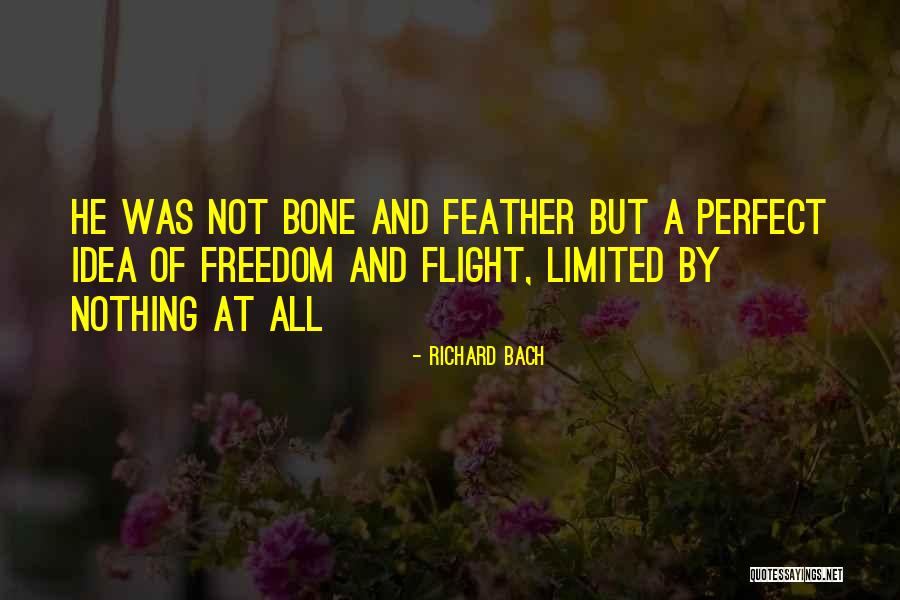 Nezinau Quotes By Richard Bach Nezinau Quotes By Richard Bach