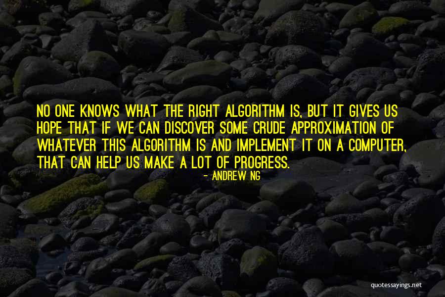 Ng-init Quotes By Andrew Ng Ng-init Quotes By Andrew Ng