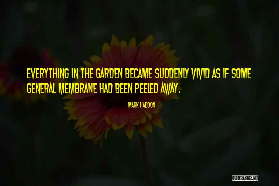 Ngaido Ba Quotes By Mark Haddon Ngaido Ba Quotes By Mark Haddon