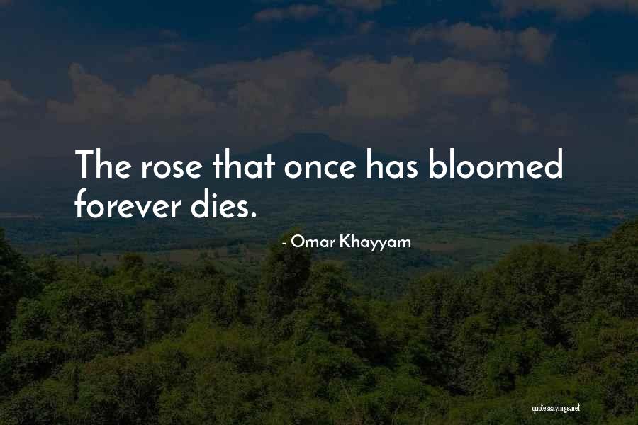 Ngaido Ba Quotes By Omar Khayyam Ngaido Ba Quotes By Omar Khayyam