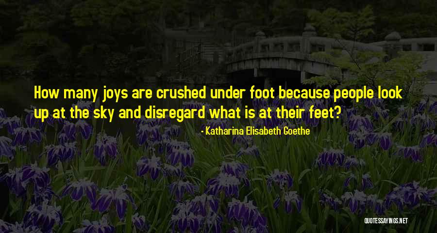 Ngaqhanyelwa Quotes By Katharina Elisabeth Goethe Ngaqhanyelwa Quotes By Katharina Elisabeth Goethe