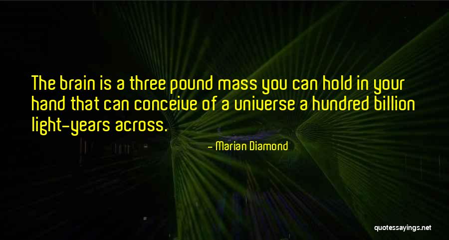Ngoenyang Quotes By Marian Diamond Ngoenyang Quotes By Marian Diamond