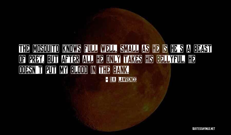 Nh Ng C U D H I N O Quotes By D.H. Lawrence Nh Ng C U D H I N O Quotes By D.H. Lawrence