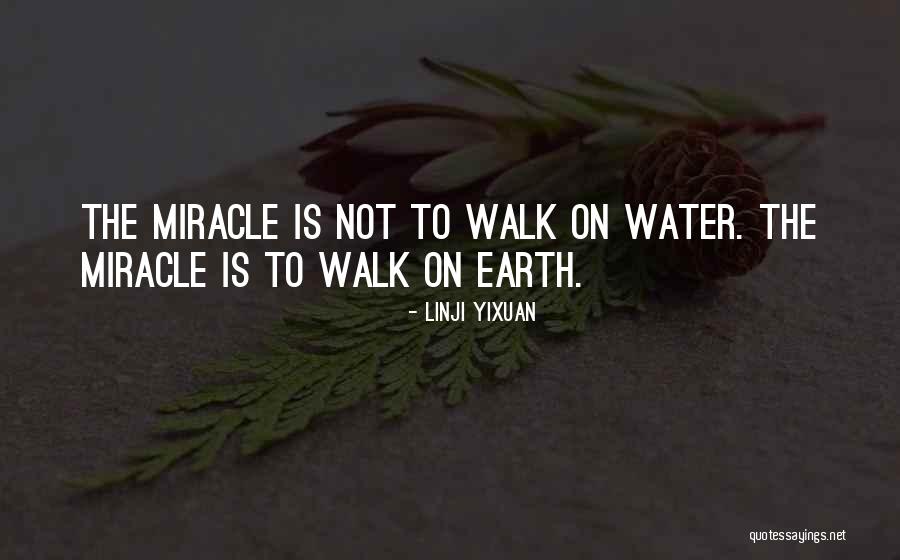 Nh U M Y Quotes By Linji Yixuan Nh U M Y Quotes By Linji Yixuan