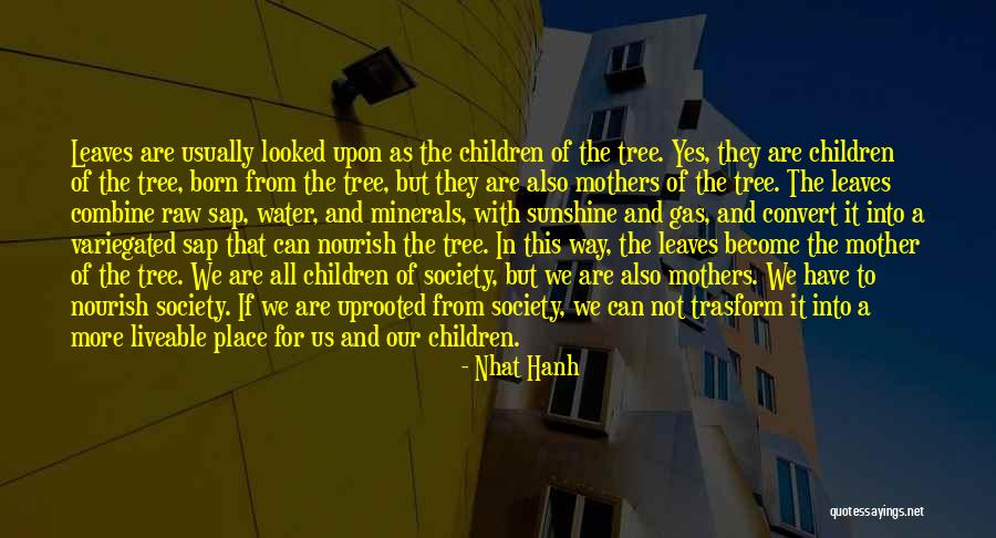 Nhat Hanh Quotes 1663635 Nhat Hanh Quotes 1663635