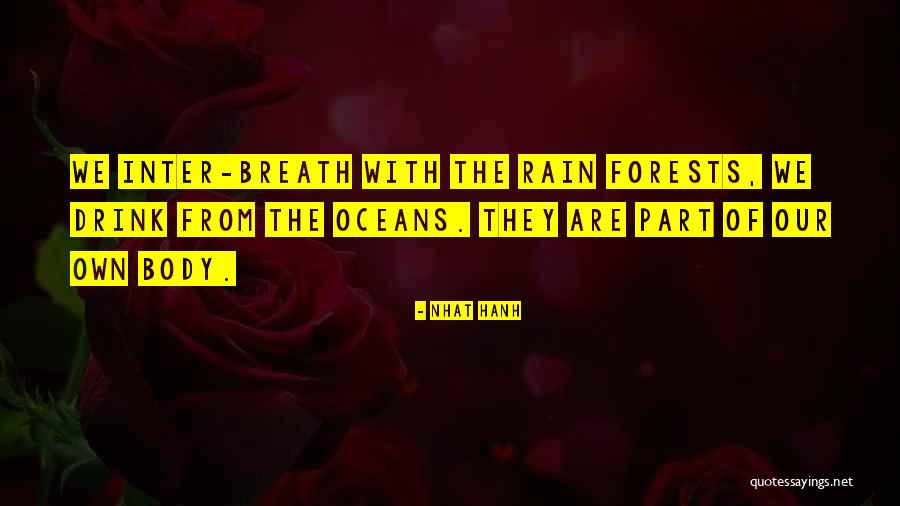 Nhat Hanh Quotes 1704765 Nhat Hanh Quotes 1704765