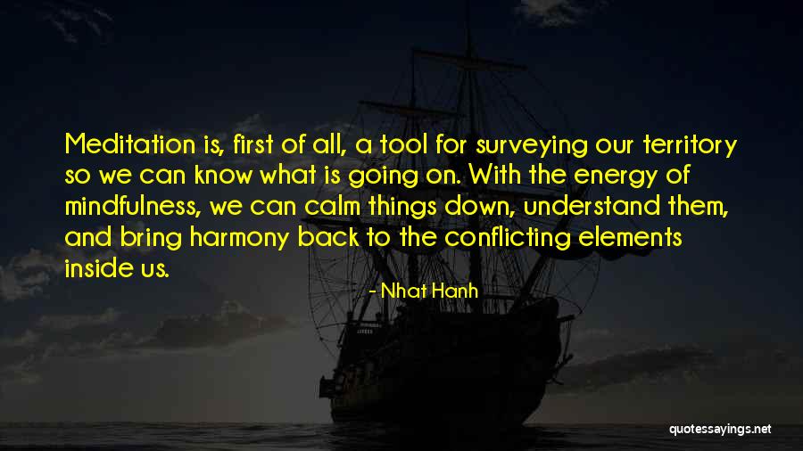 Nhat Hanh Quotes 464913