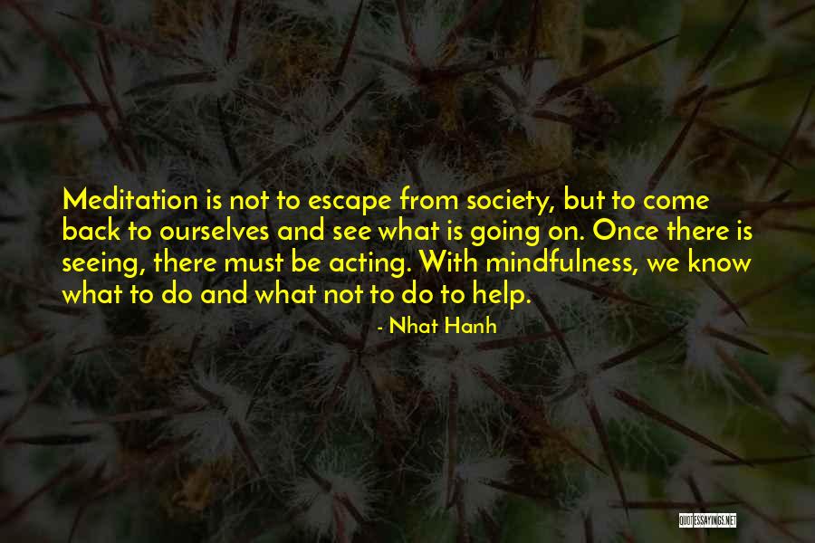 Nhat Hanh Quotes 864283