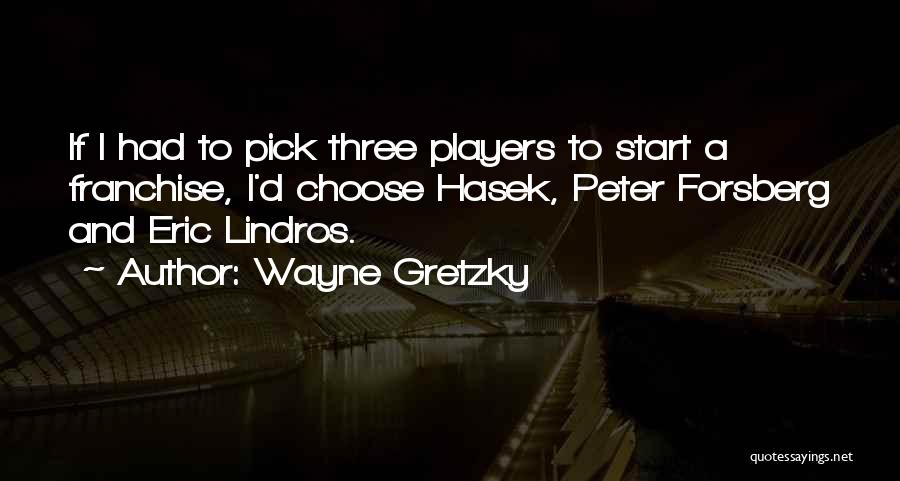 Nhl Players Quotes By Wayne Gretzky