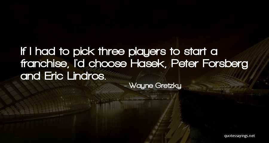 Nhl Players Quotes By Wayne Gretzky