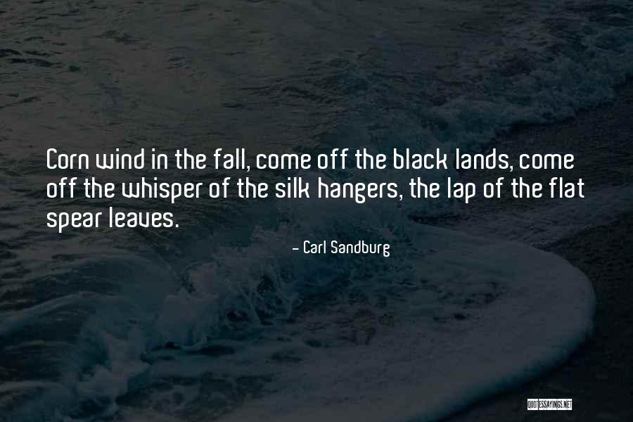 Nhti In Quotes By Carl Sandburg Nhti In Quotes By Carl Sandburg
