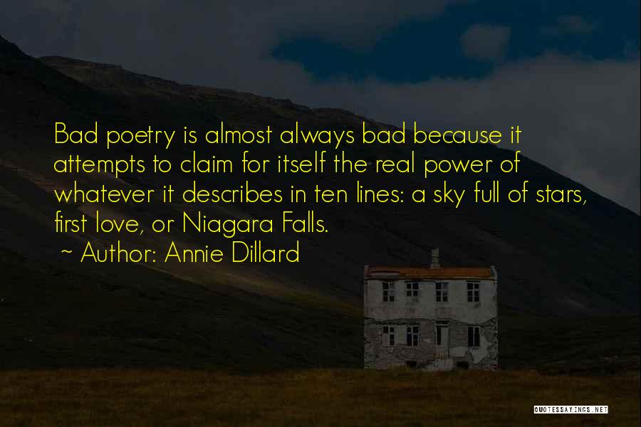 Niagara Falls Quotes By Annie Dillard