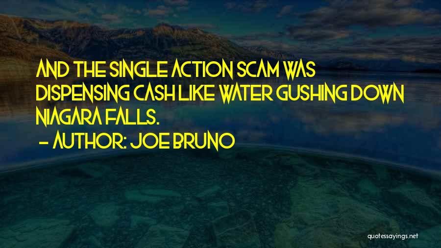 Niagara Falls Quotes By Joe Bruno