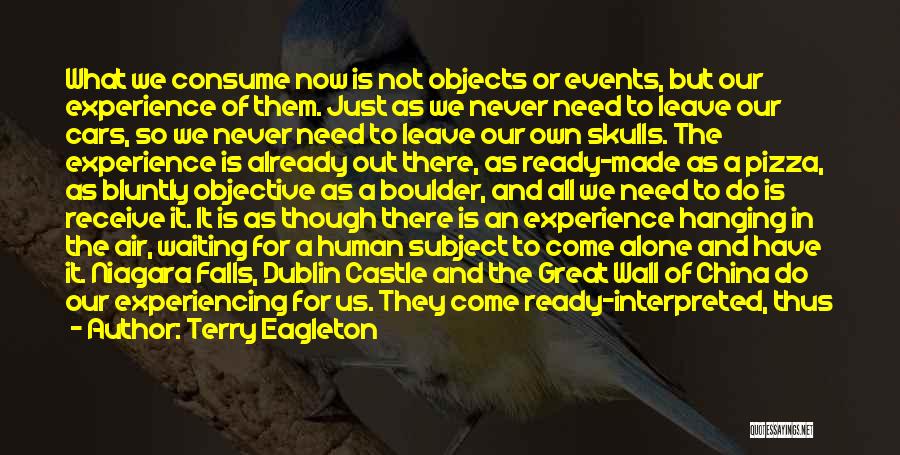 Niagara Falls Quotes By Terry Eagleton