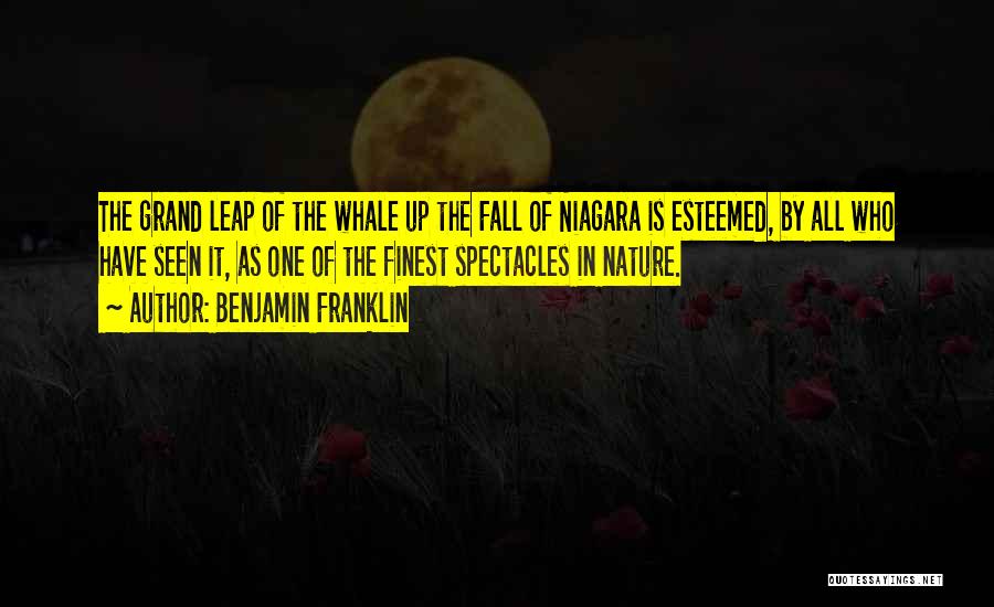 Niagara Quotes By Benjamin Franklin