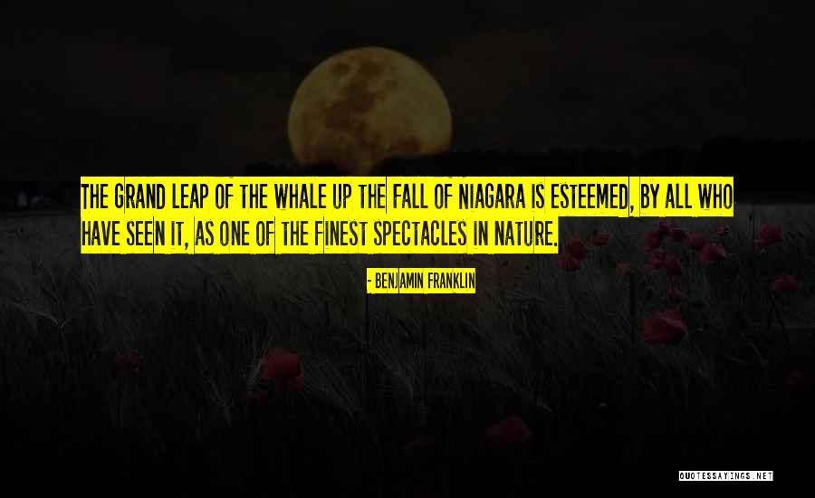 Niagara Quotes By Benjamin Franklin