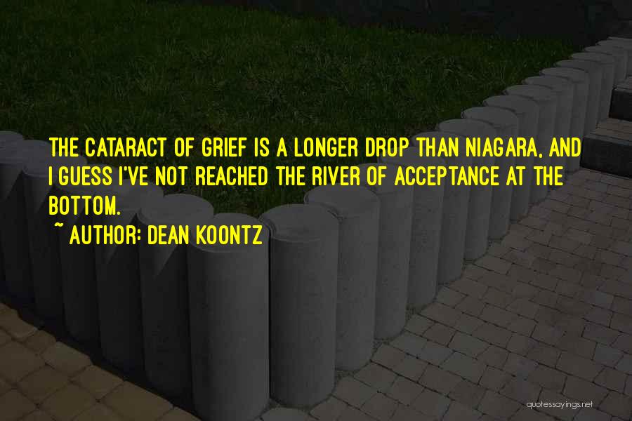 Niagara Quotes By Dean Koontz