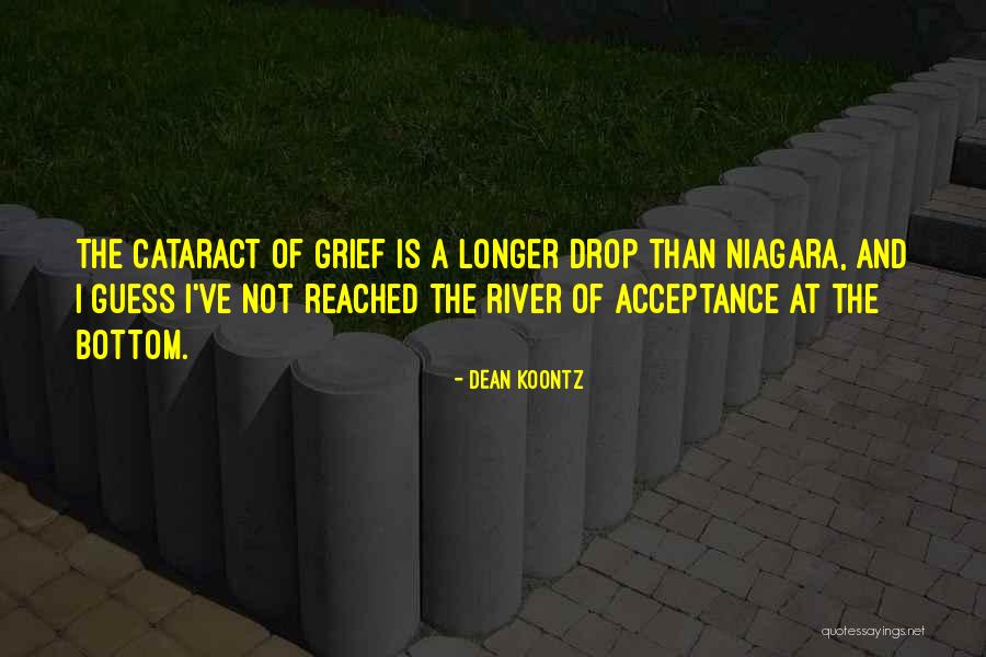 Niagara Quotes By Dean Koontz