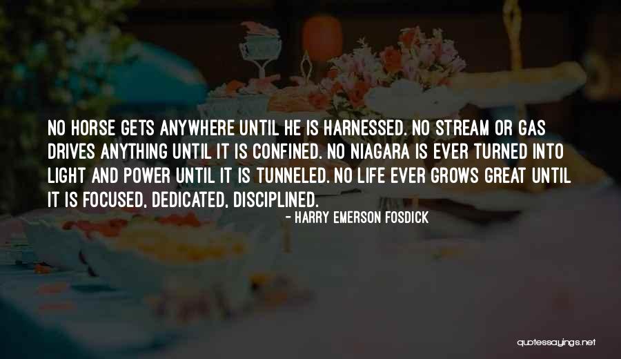 Niagara Quotes By Harry Emerson Fosdick