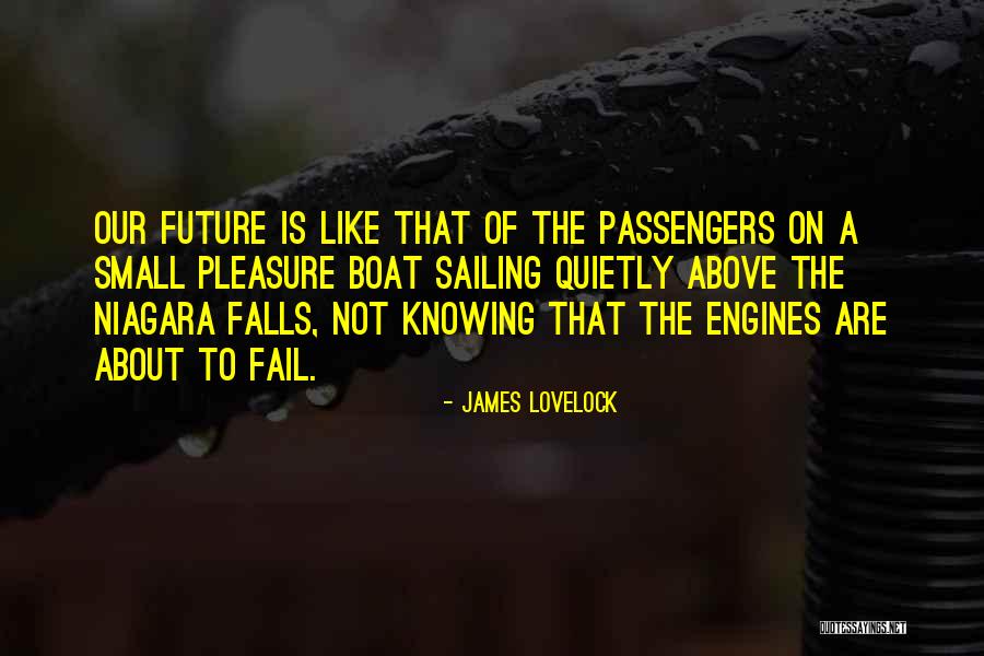 Niagara Quotes By James Lovelock