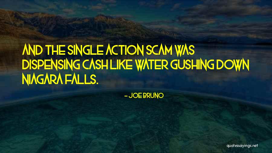 Niagara Quotes By Joe Bruno