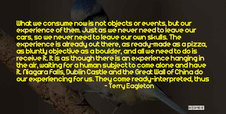 Niagara Quotes By Terry Eagleton