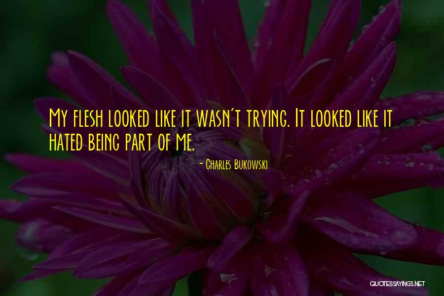 Niagawan Tutorials Quotes By Charles Bukowski Niagawan Tutorials Quotes By Charles Bukowski