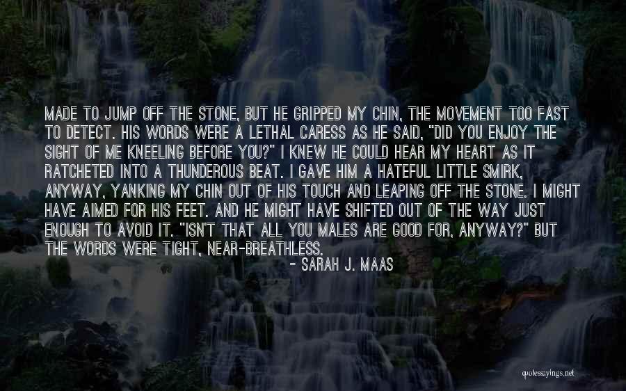 Niaiseux Quotes By Sarah J. Maas Niaiseux Quotes By Sarah J. Maas