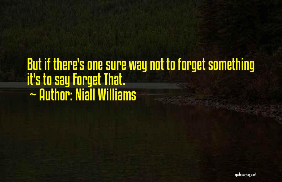 Niall Williams Quotes 1138112