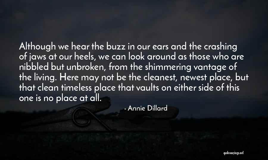 Nibbled Quotes By Annie Dillard Nibbled Quotes By Annie Dillard