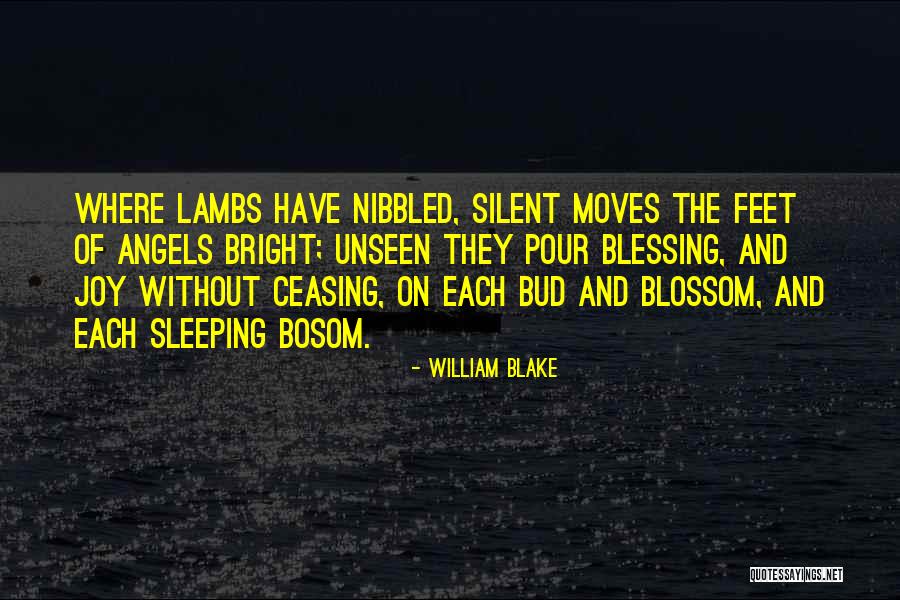 Nibbled Quotes By William Blake Nibbled Quotes By William Blake