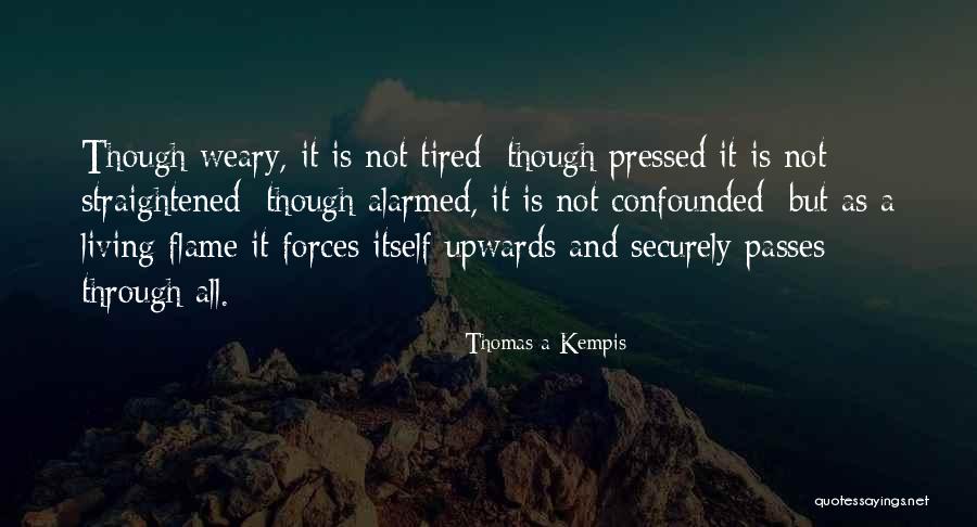 Nibblin Quotes By Thomas A Kempis Nibblin Quotes By Thomas A Kempis