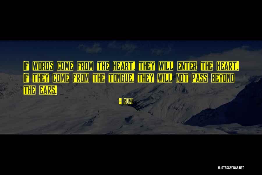 Nibert Md Quotes By Rumi Nibert Md Quotes By Rumi