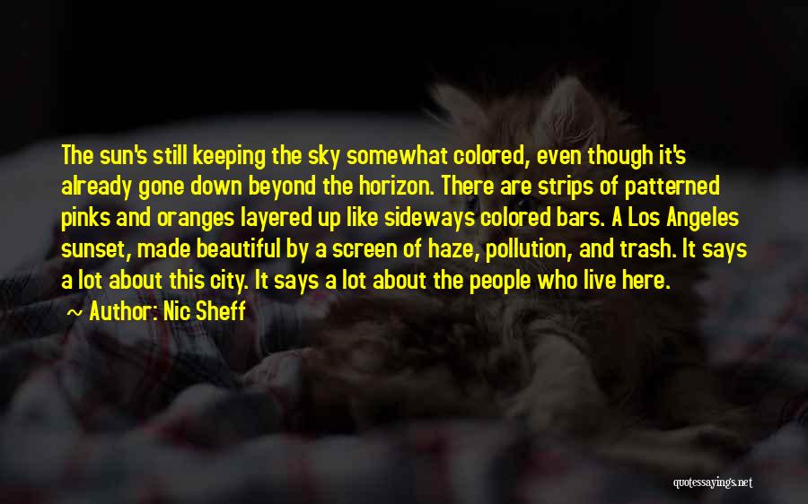 Nic Sheff Quotes 1866651